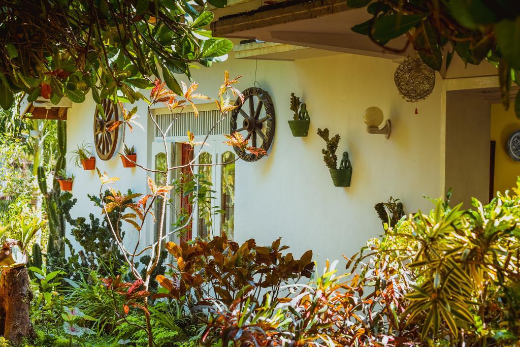 Shammie Guest House Хіккадува Екстер'єр фото
