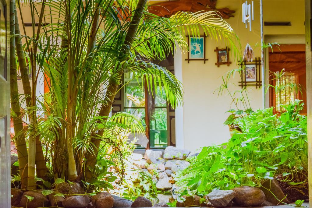 Shammie Guest House Хіккадува Екстер'єр фото
