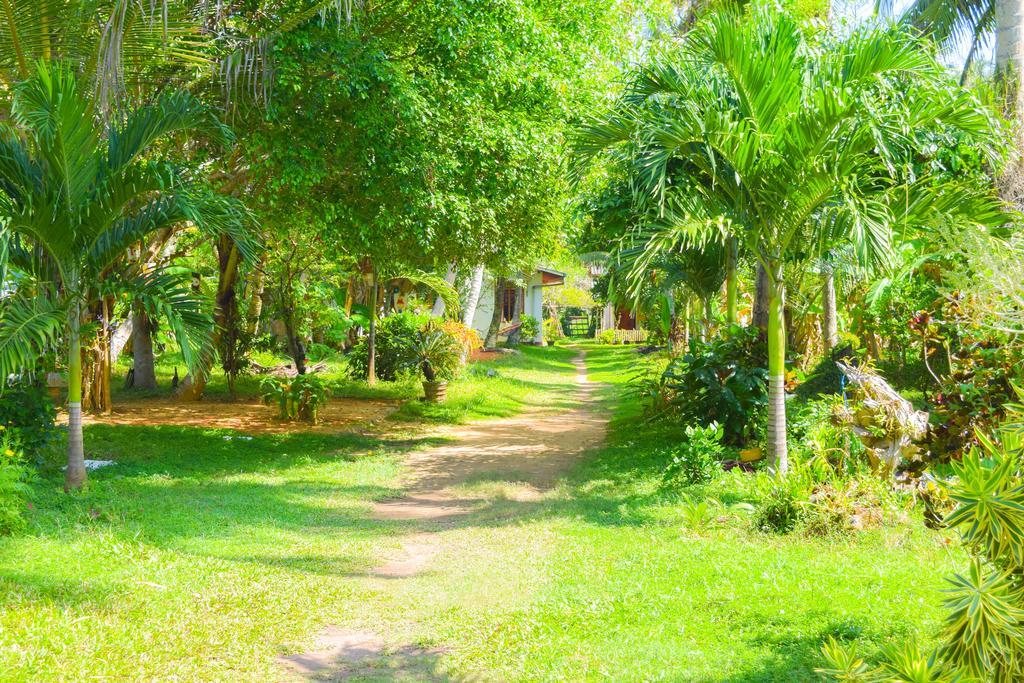 Shammie Guest House Хіккадува Екстер'єр фото
