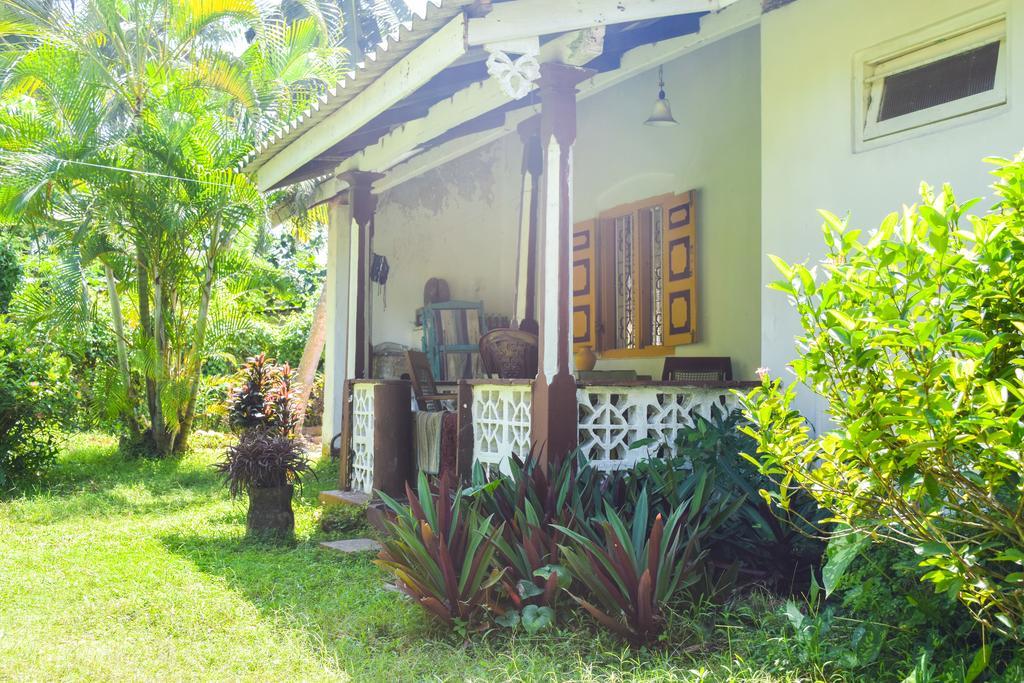 Shammie Guest House Хіккадува Екстер'єр фото