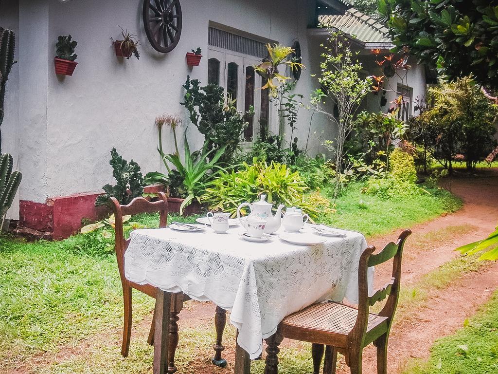Shammie Guest House Хіккадува Екстер'єр фото
